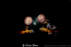 How many eys? by Chun Zhou 